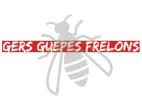 Gers Guêpes Frelons